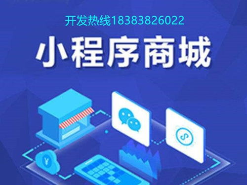 成都微信小程序商城開(kāi)發(fā),微信小程序商城如何搭建 定制費(fèi)用多少